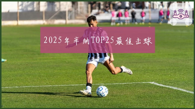 2025年辛纳TOP25最佳击球
