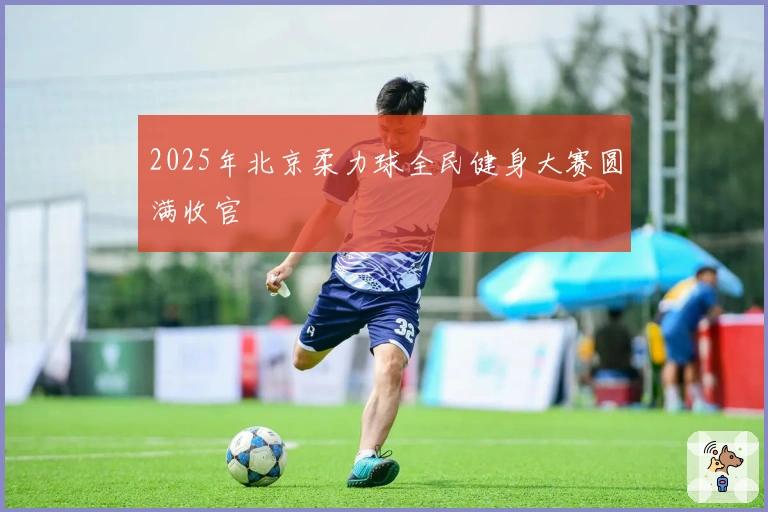 2025年北京柔力球全民健身大赛圆满收官